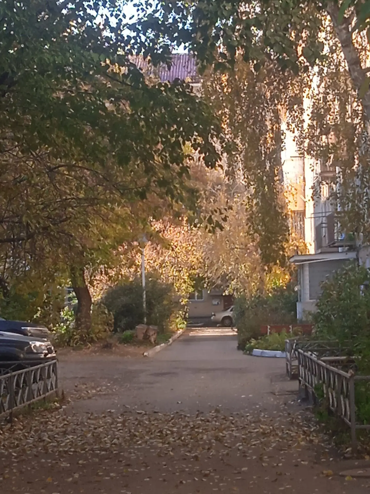 Уже пятница. Как же время быстро летит.