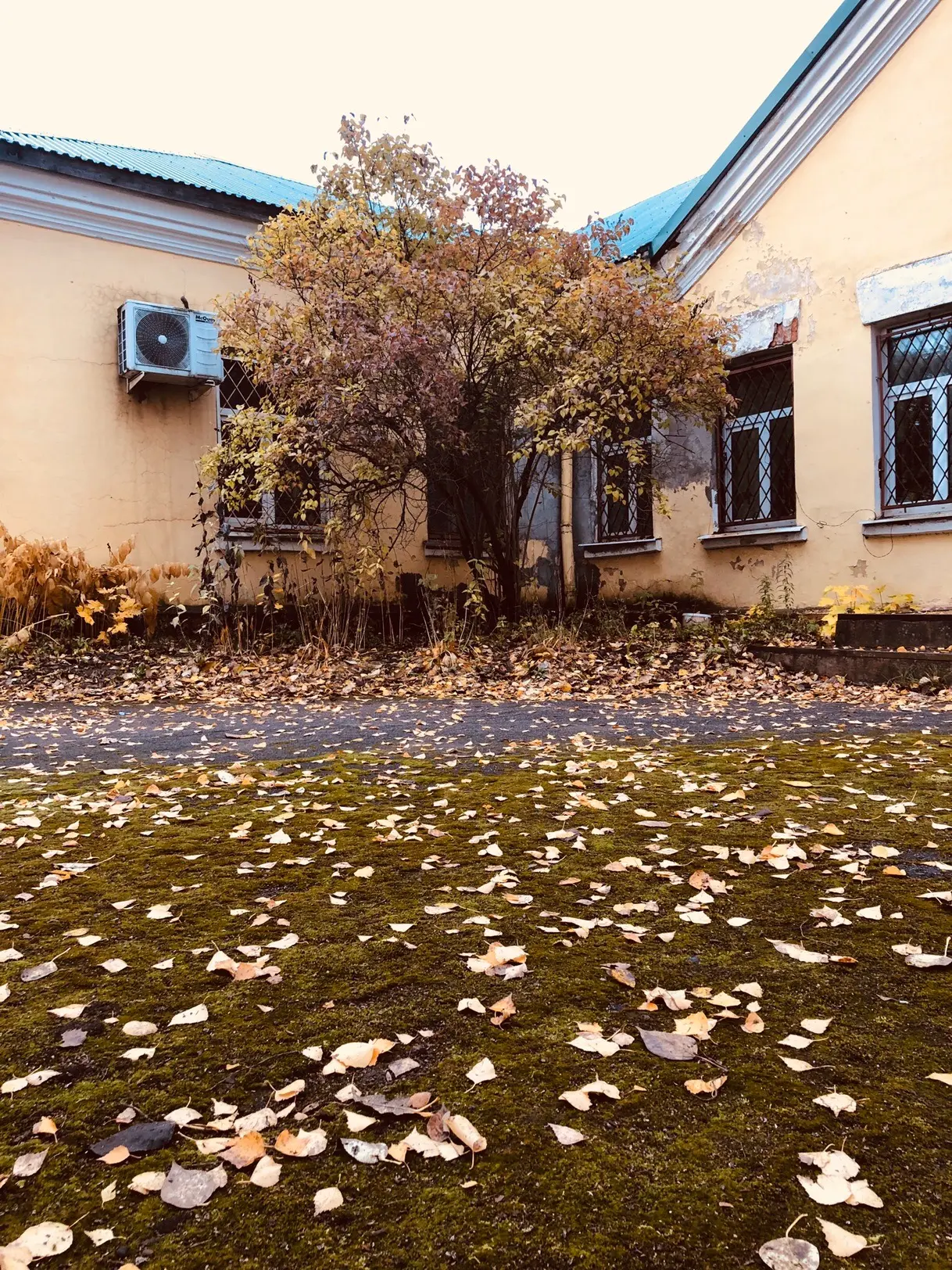 Доброе утро, Колтуши! 😎Хорошего дня! 🍁