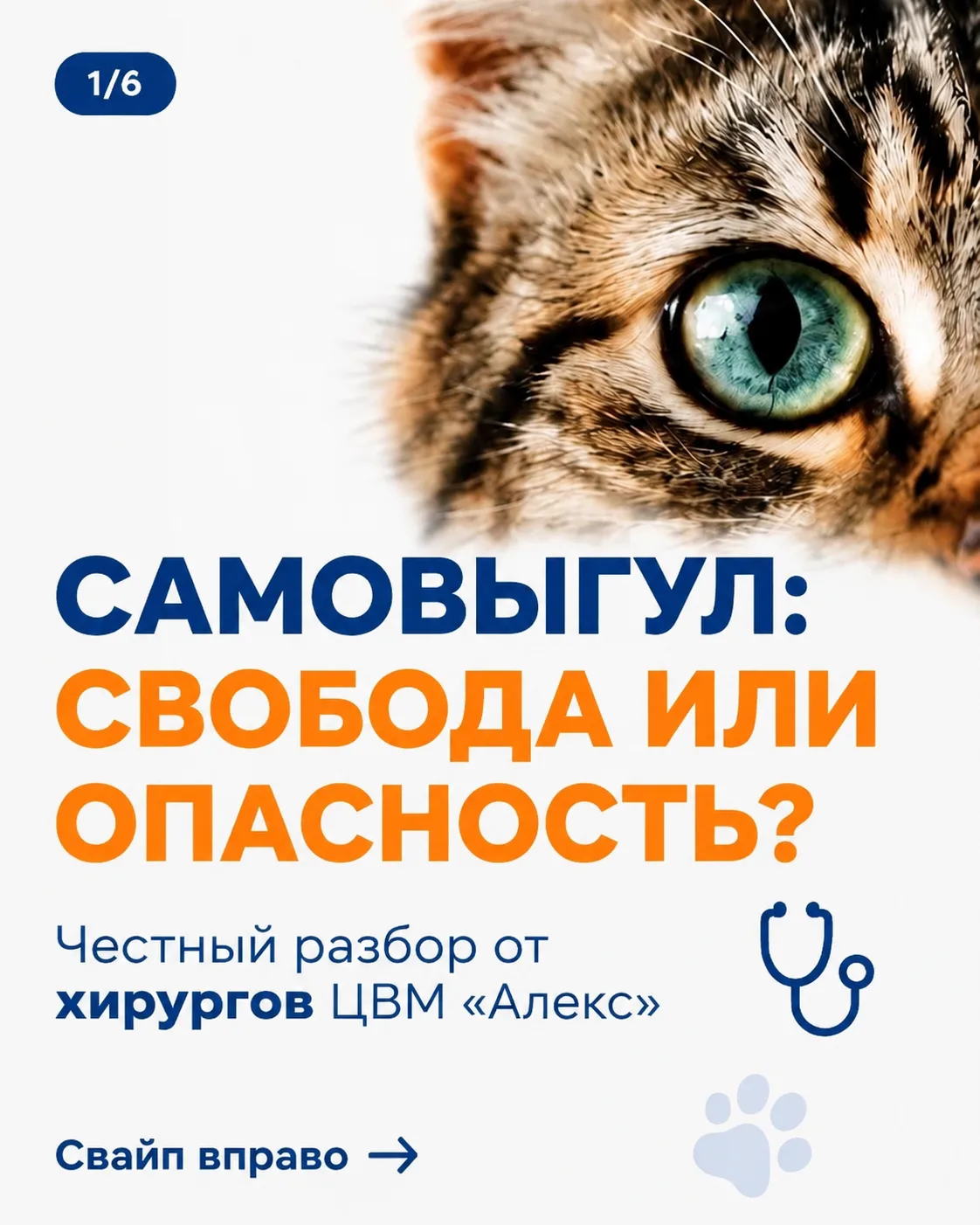 Каждую неделю в ЦВМ «Алекс» поступают пациенты, пострадавшие на «свободном выгуле». Авт...