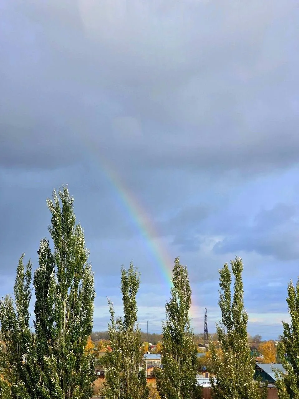 Осенняя радуга 🌈