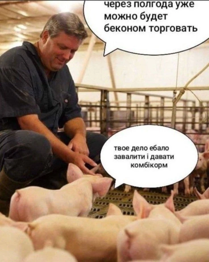 Ситуация...