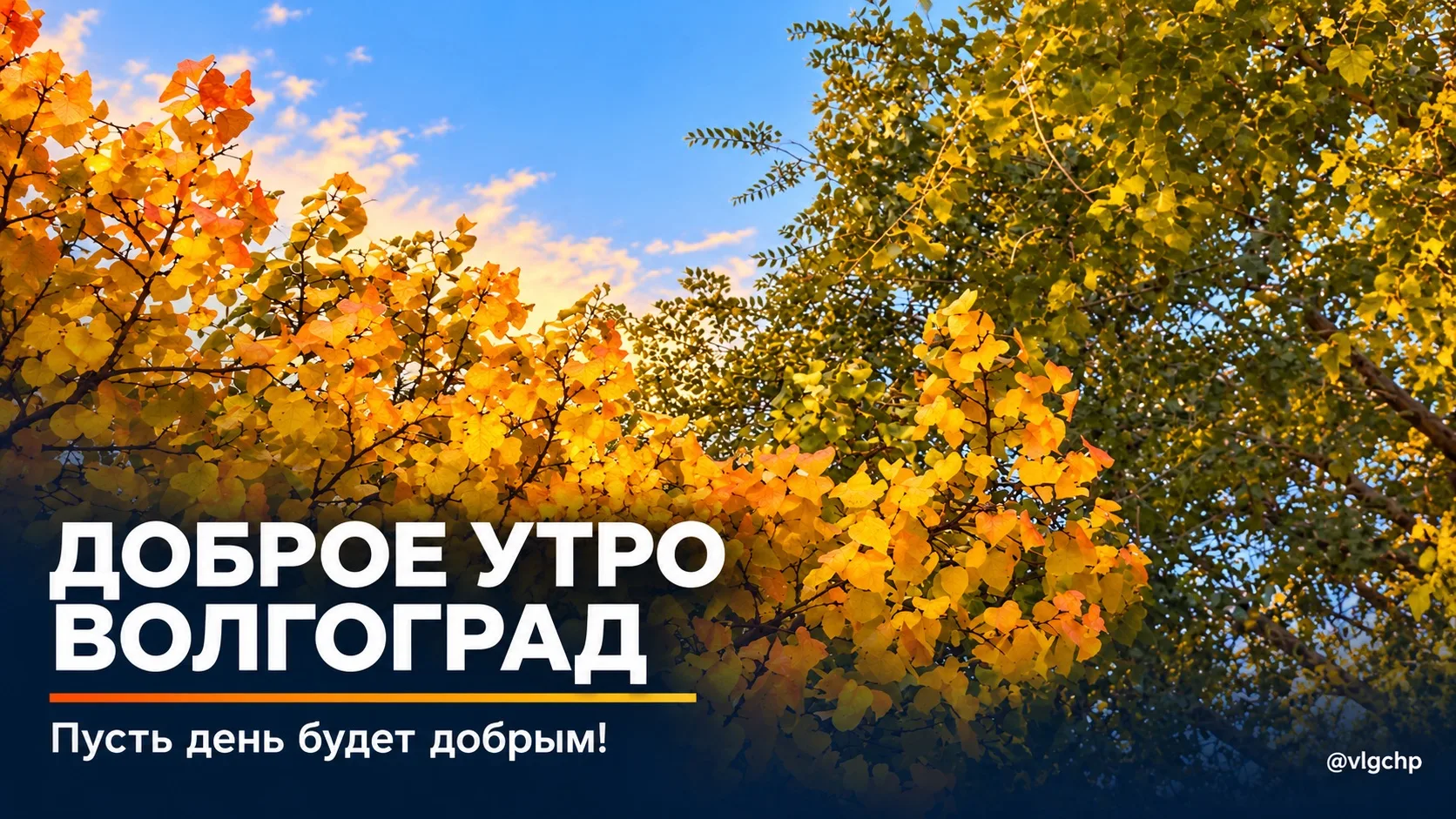 Бодрого и доброго утра вам желает канал Волгоград⚡️