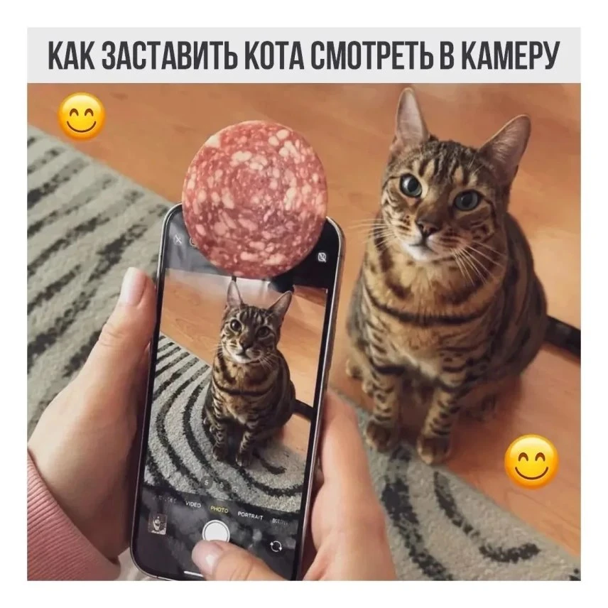 Весёлые картинки №19