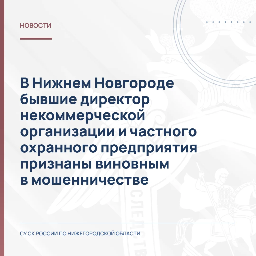 В Нижнем Новгороде бывшие директор некоммерческой организации и частного охранного пред...