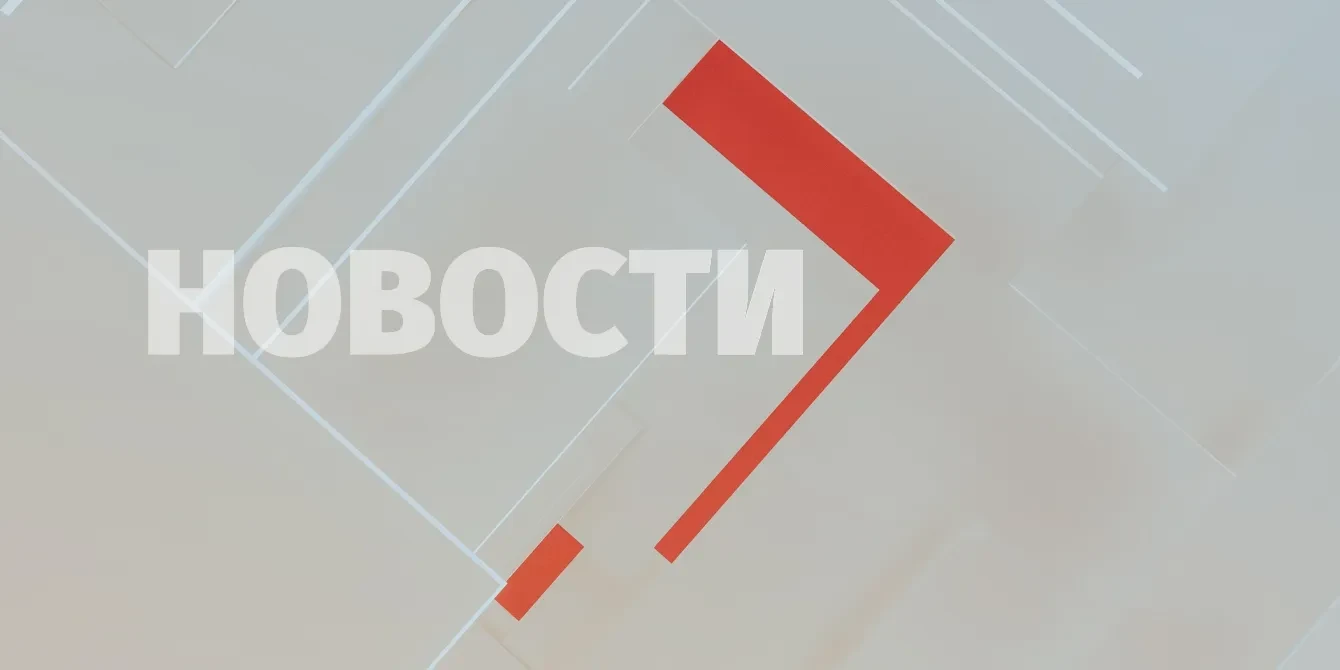 Гатчинские предприятия оказались в санкционном списке Евросоюза