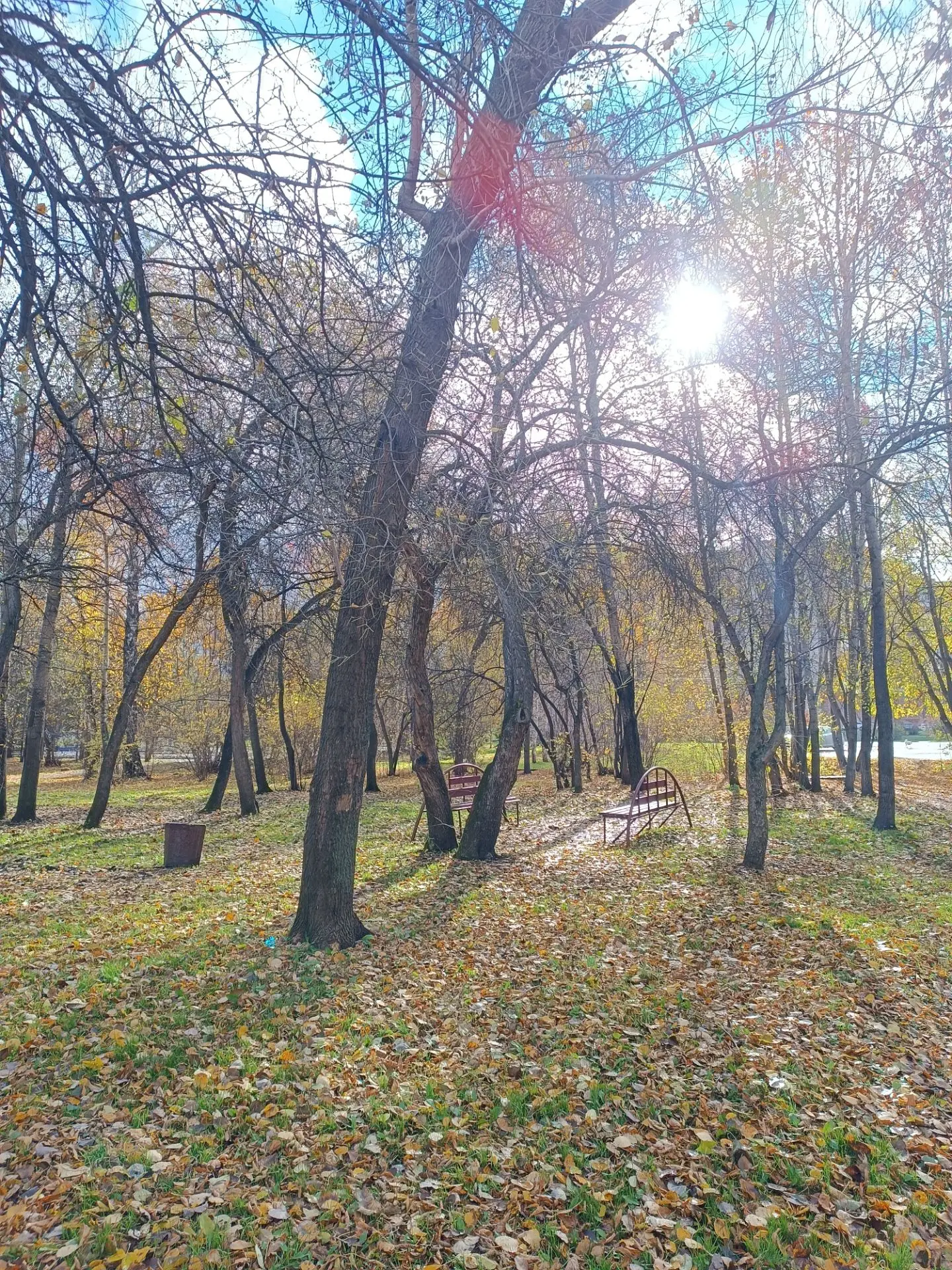- Я так счастлива, что не верю ни в горе, ни в смерть, - говорит Принцесса в "Обыкновен...