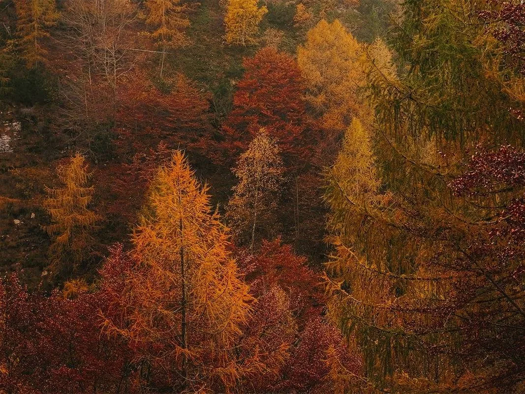 🍃 С добрым утром