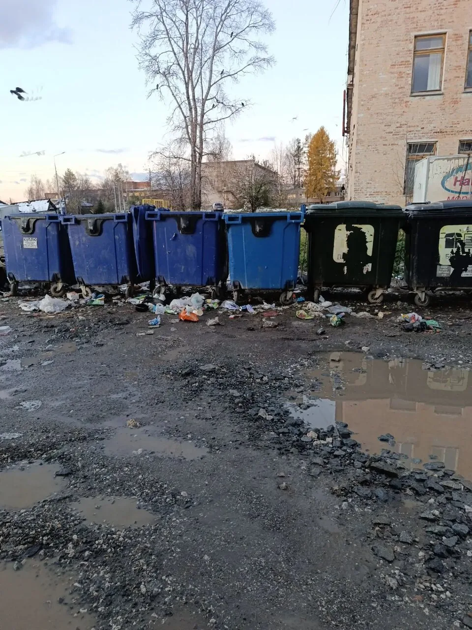 Натюрморт😃