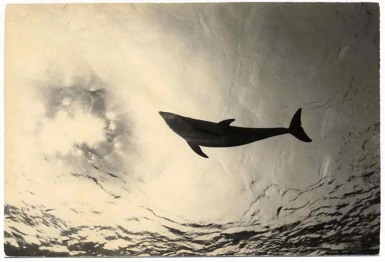 ph: Masao Yamamoto