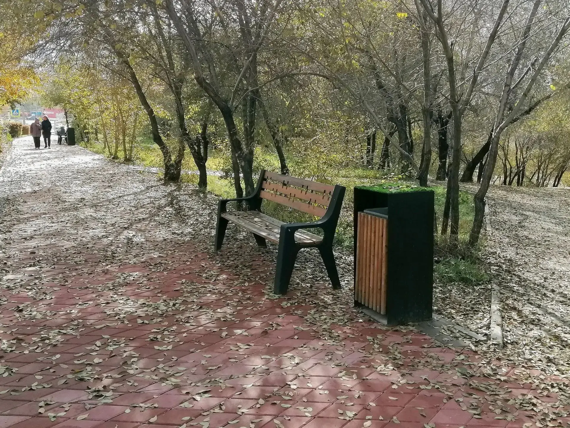 Вернисаж скамеек. Проспект Победы