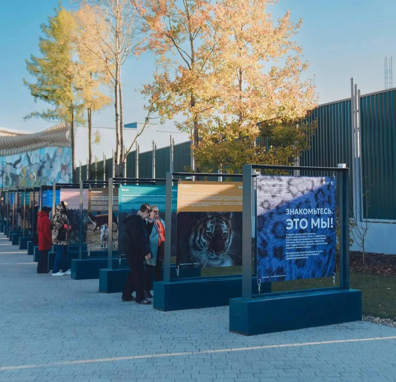 🐻 В Перми открыли бесплатную фотовыставку об обитателях зоопарка.