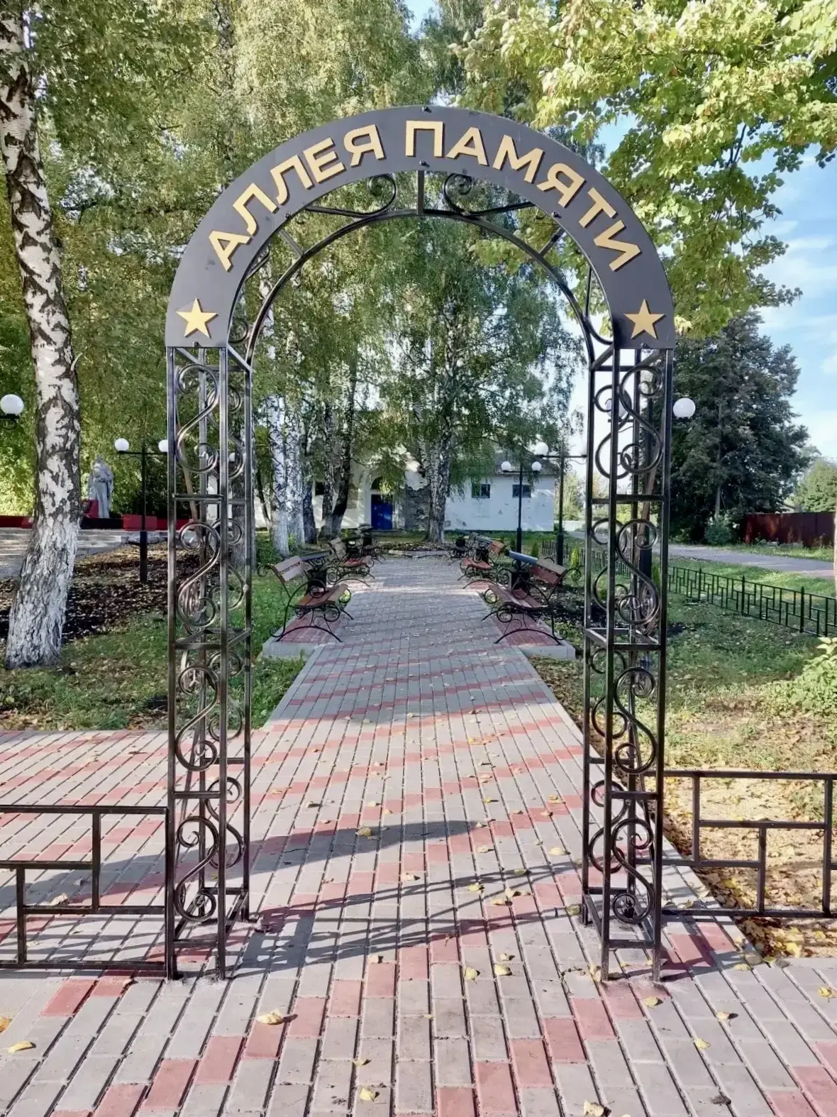 В двух поселках Паннинского района реализовали проект «Аллея памяти» и преобразили парк...