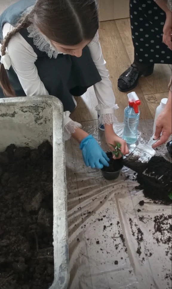 Маленькие садовники за работой 🌱✂️