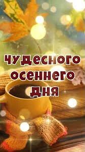 Подписаться 🍁