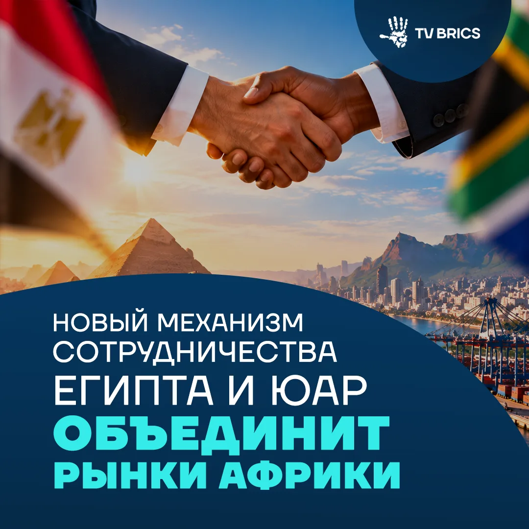 Египет и ЮАР создали совместный деловой совет для укрепления экономических связей между...