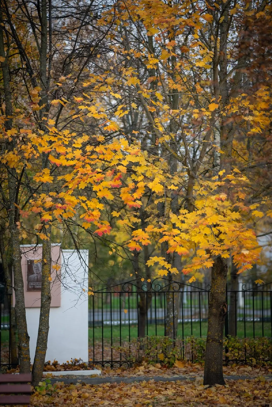 С добрым утром, Шатура 🍁