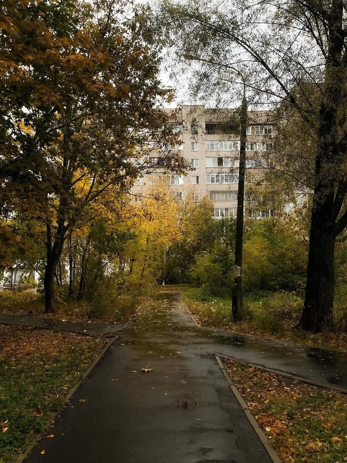Воронеж