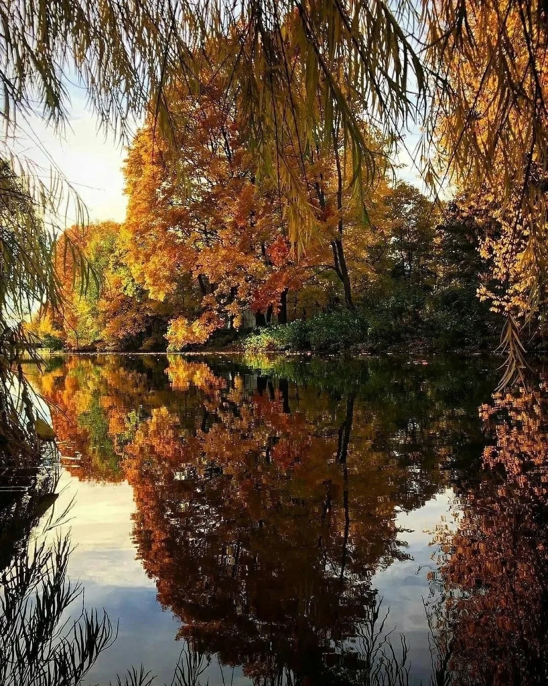 ☀️🍃🕊 С добрым утром, дорогие!