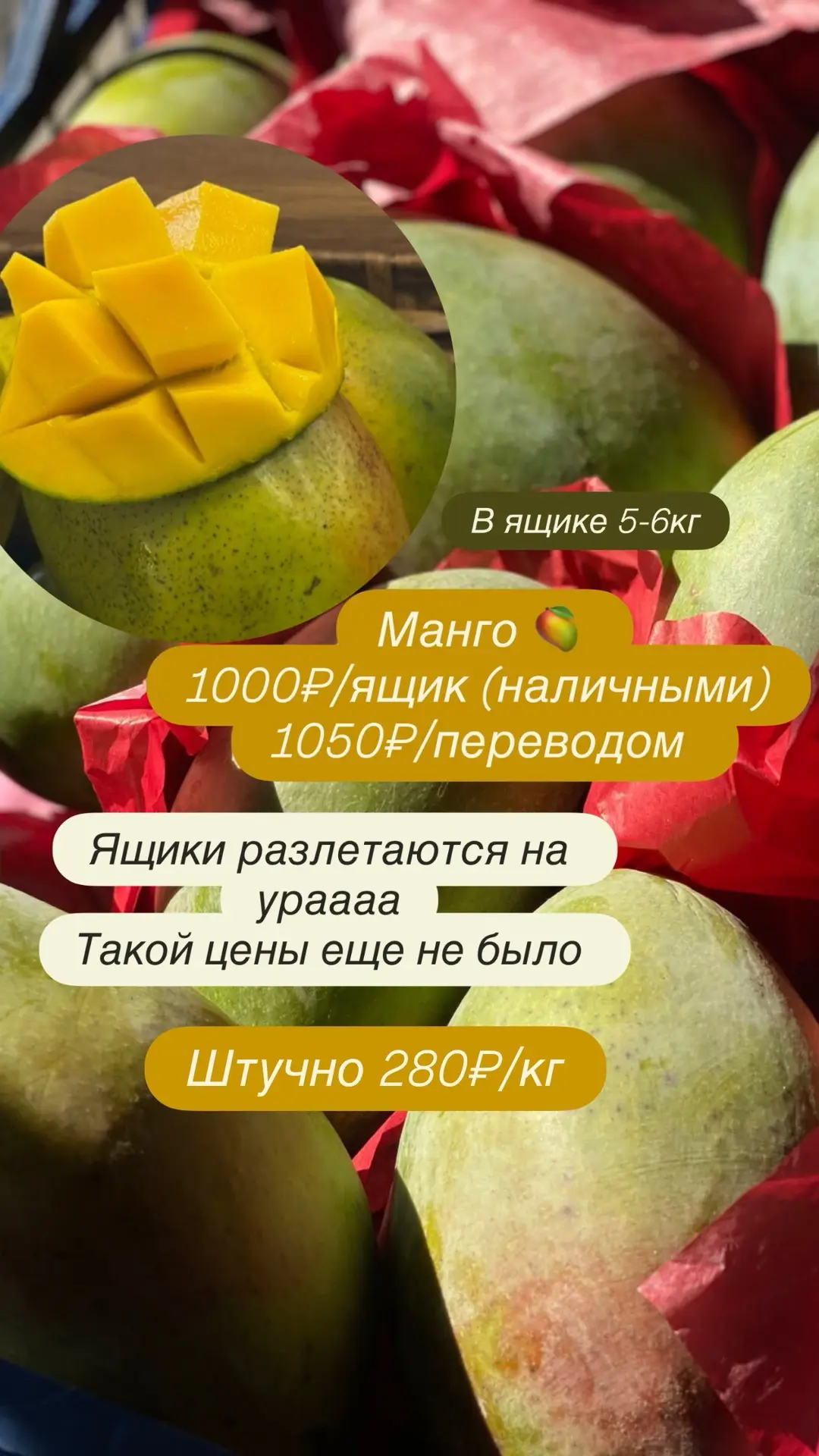Манго разлетается на ураааа😍🥭