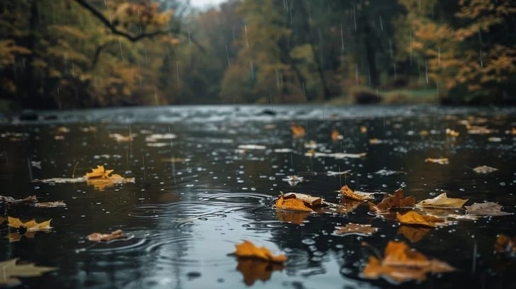 ☁️ Прогноз погоды на четверг, 15 октября