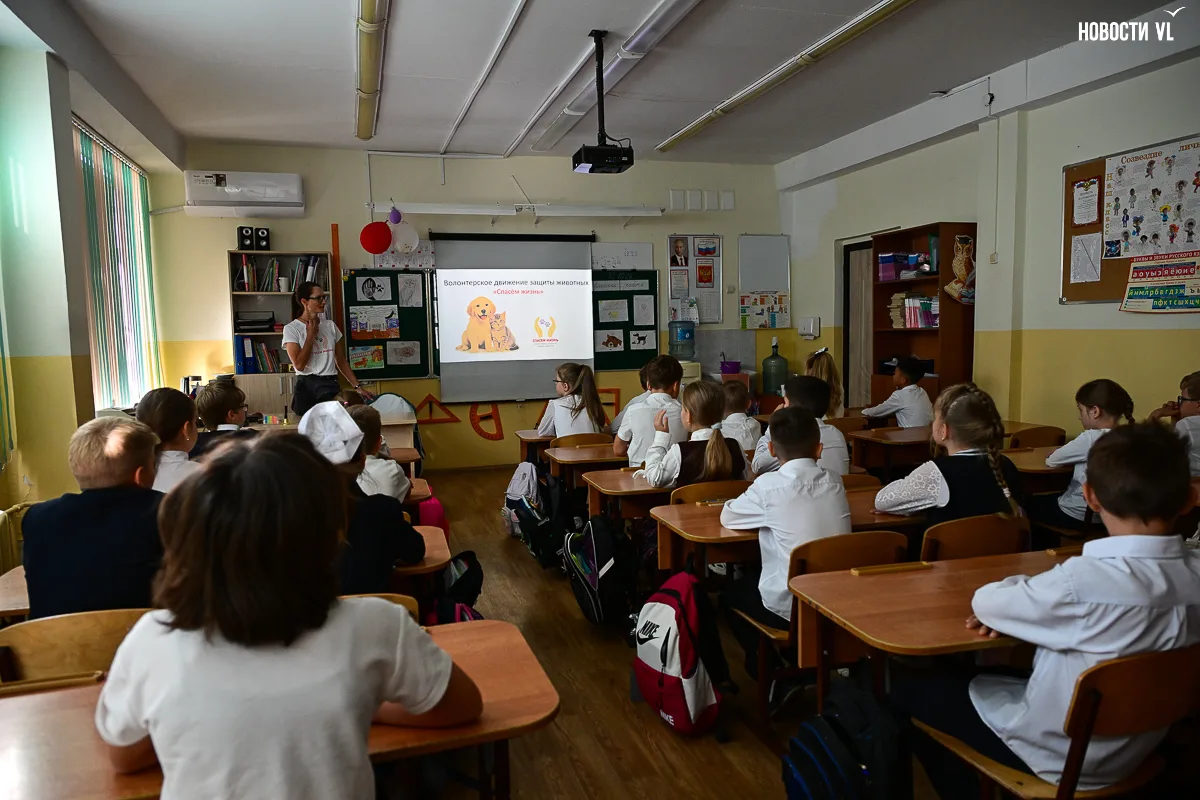 🐕🏫 Во Владивостоке волонтёры проводят уроки добра с собакой из приюта