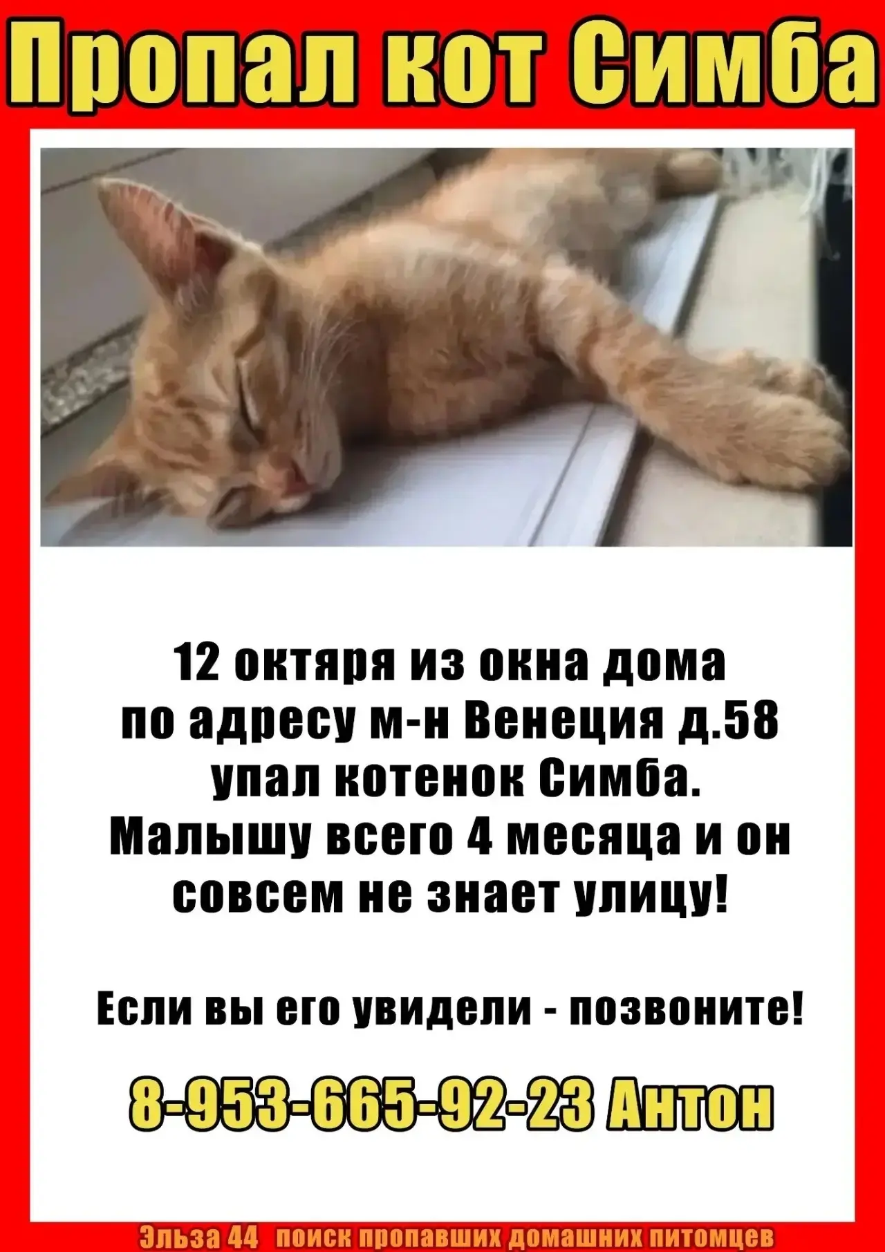 https://max.ru/channel_dtpkostroma