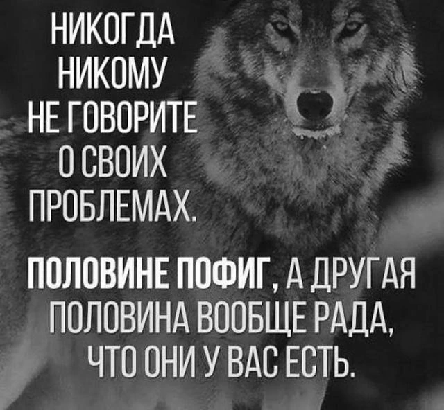 🎯 Мудрость народная ☀️