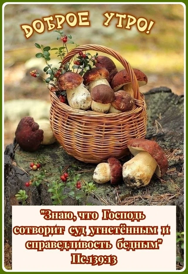 #Утро