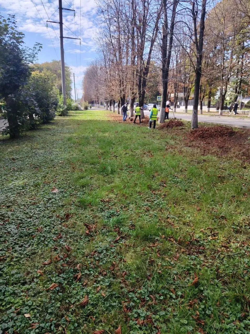 🍂 Готовим город к субботнику — и делаем это с перспективой!
