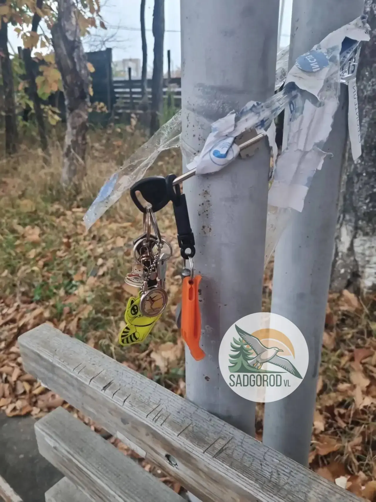 На остановке поворот на Журавли