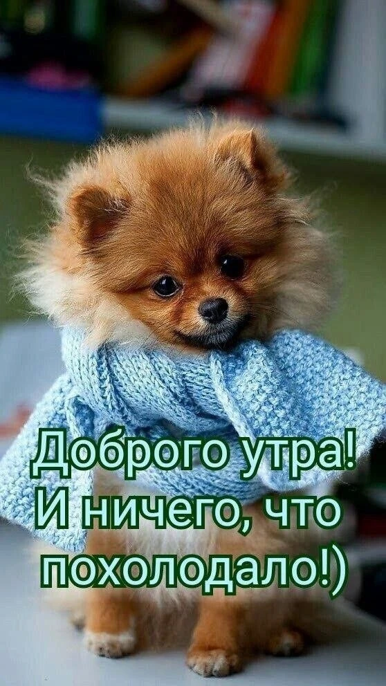 💌 Открытки на все праздники. Подписаться