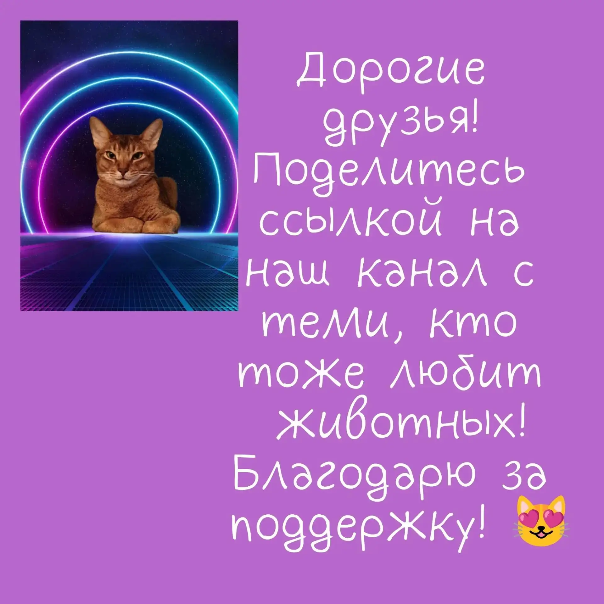 http://max.ru/channel_kot_Gavryusha