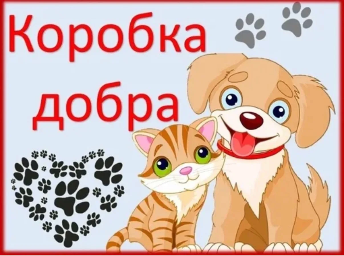 Сегодня,4 октября, Международный День защиты животных. Сегодня в нашей школе запускаетс...