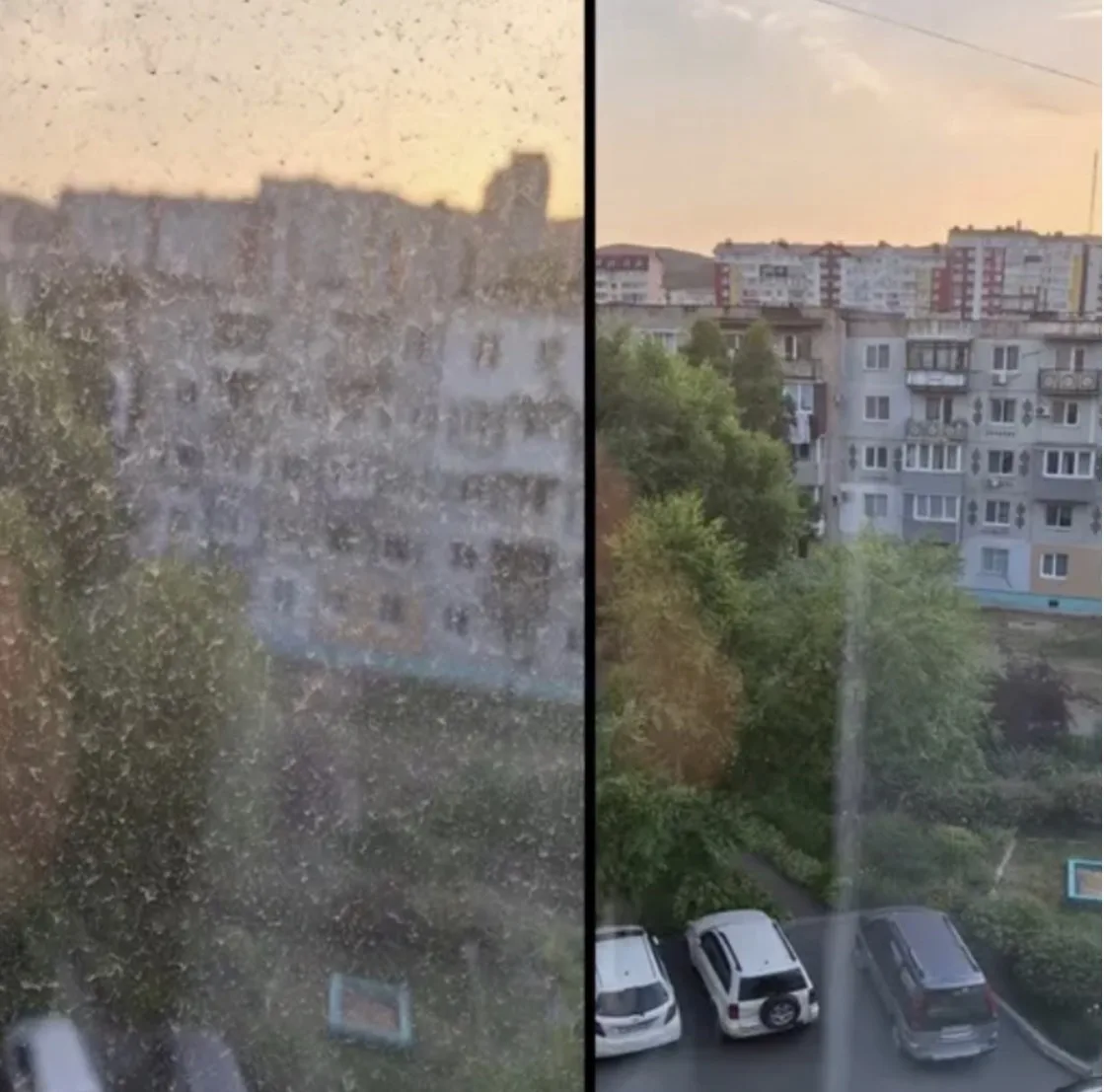 Оказывается я пользовалась ими неправильно тряпочка на озон