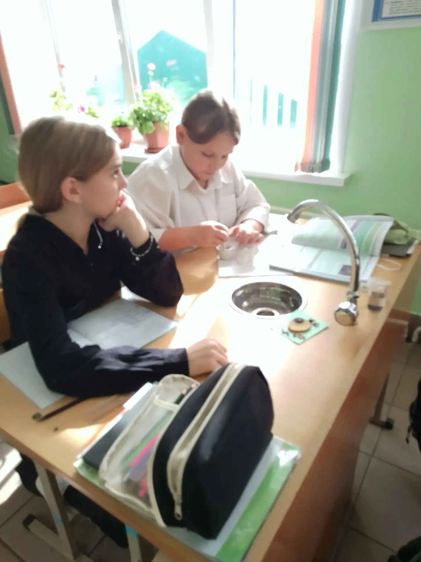 Большую роль на уроках биологии играют лабораторные работы, которые являются одной из ф...