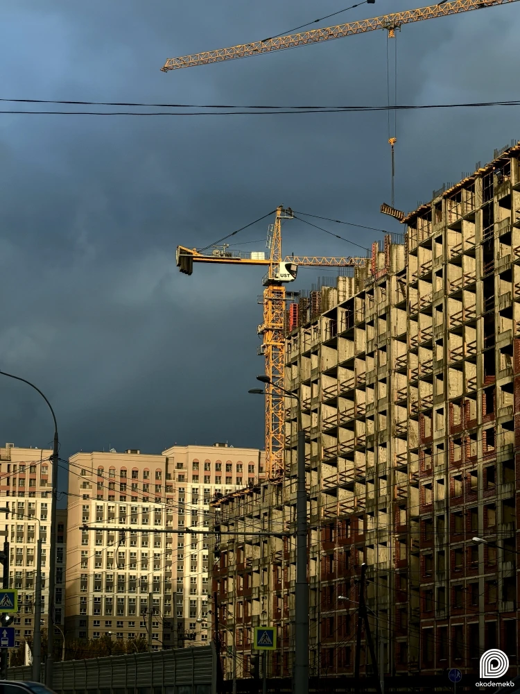 Фото дня