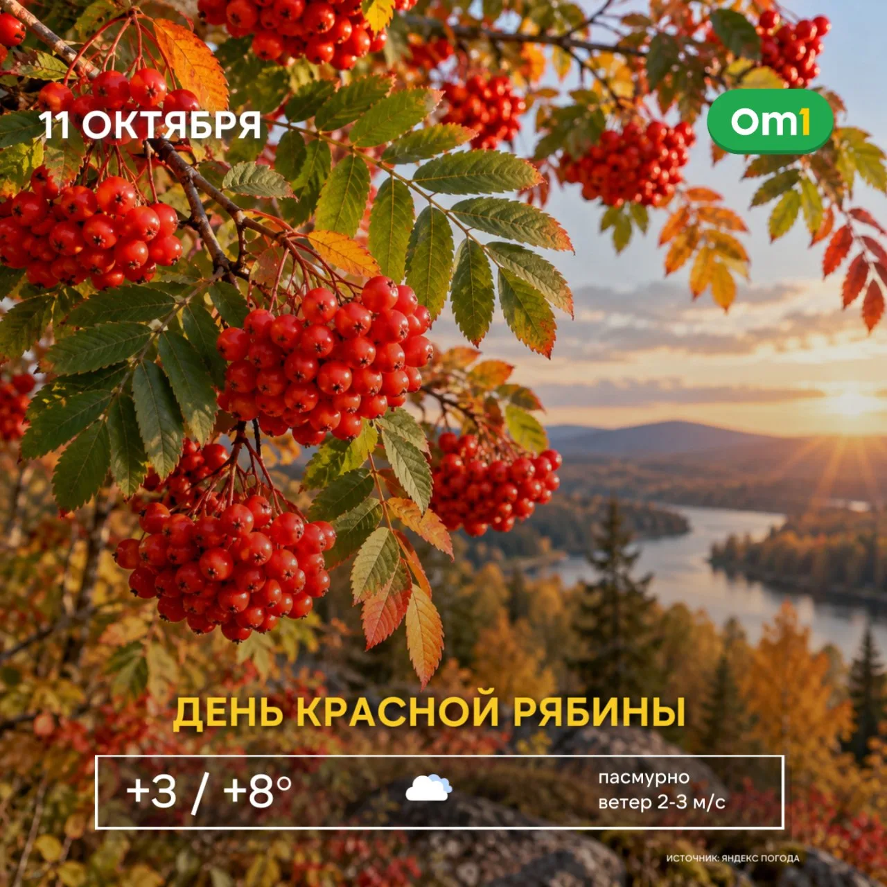 🍁 С добрым утром, Новосибирск!