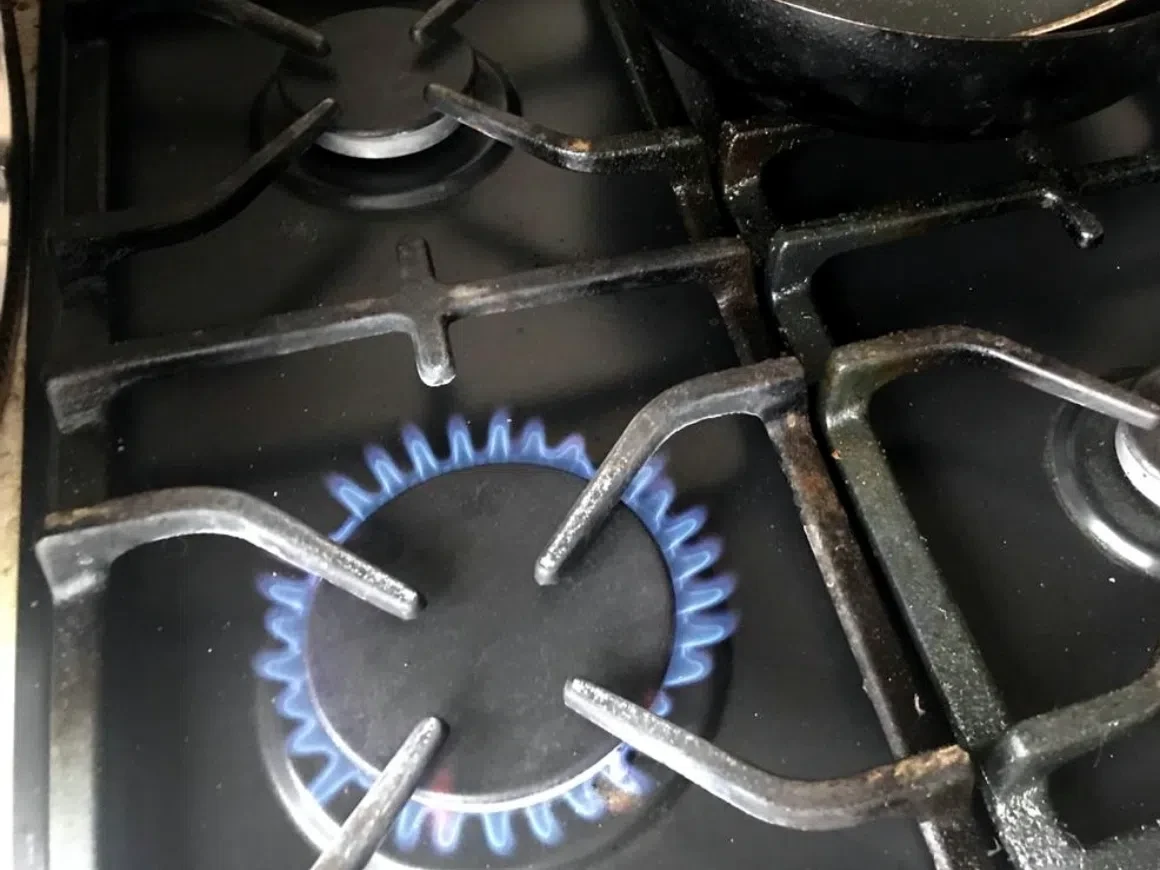 Гатчинцам напомнили о сроках поверки газовых счетчиков