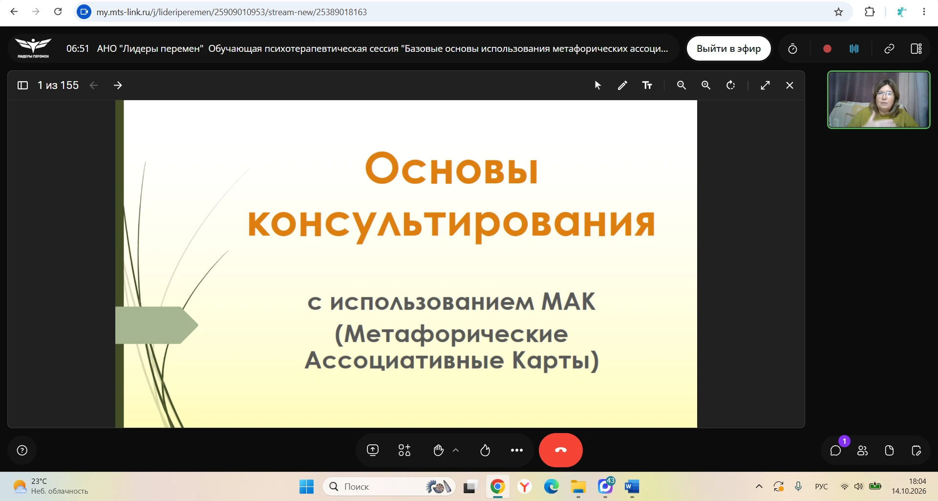 Резюме прошедшей встречи с Еленой Синолицей: МАК — от страха к мастерству 🎴