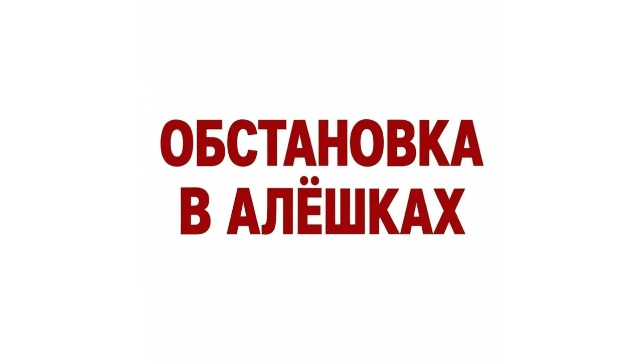🪂 На Херсонском направлении в районе Алёшек действует временное перемирие для гуманита...