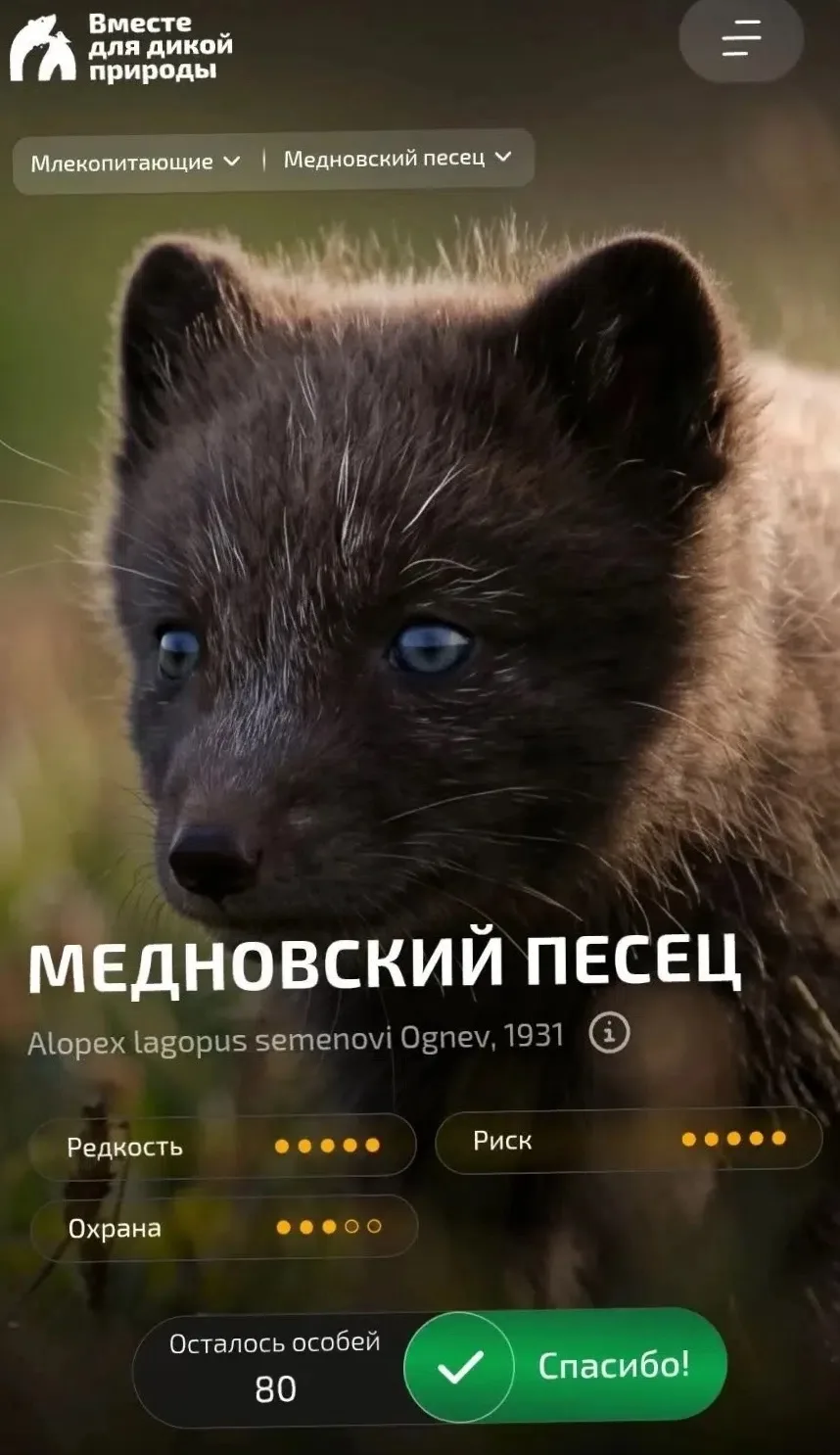 🍀🦋Всероссийская экологическая инициатива «Вместе для дикой природы»🍀🦋