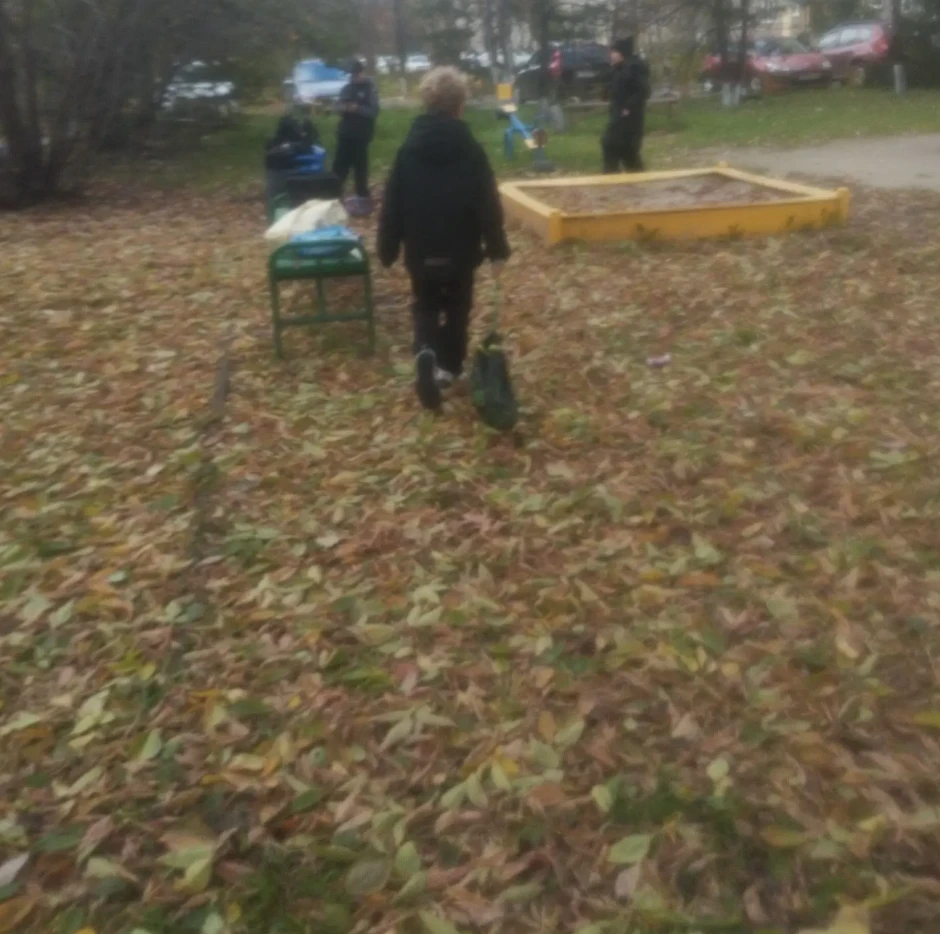 Предложка:
