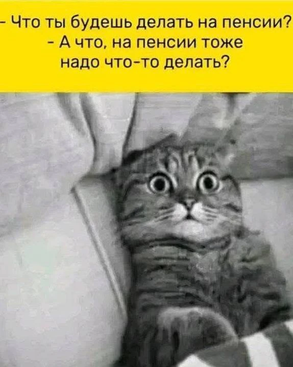 Юмор - Подписаться