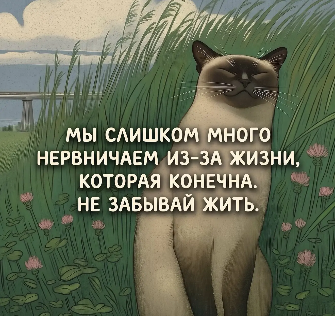 Кто ставит реакции всех 🫂