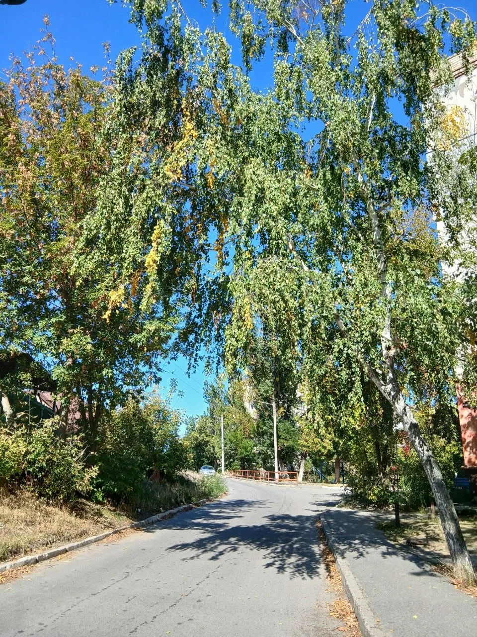 Доброе утро, Новая Каховка 🤍