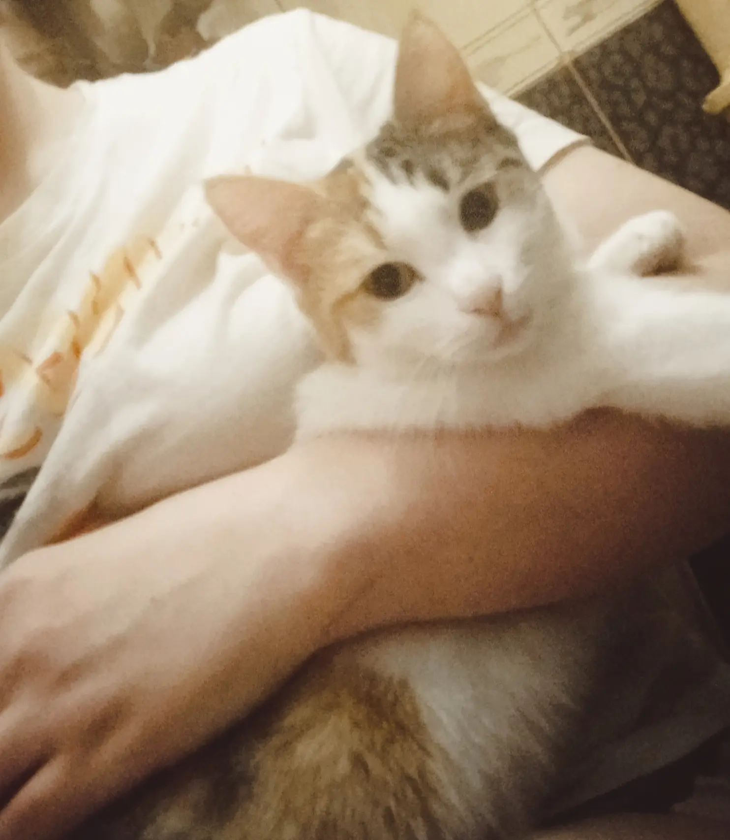 Прямо в душу👁️👁️