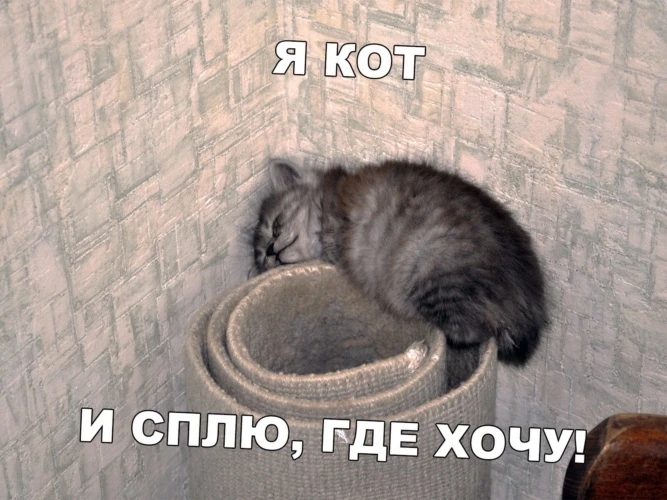 🌙 Воскресенье почти закончилось