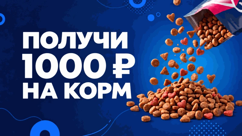 Порадуй своего хвостика!