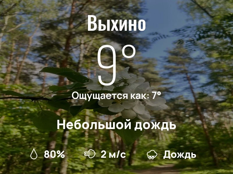 Что с погодой в Выхино?