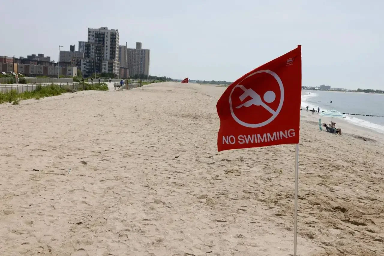 🦈🚫Пляж в Калифорнии закрыли из-за агрессивной акулы